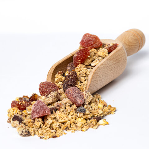 red berries granola scoop scaled